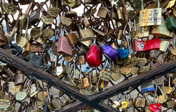 many locks on a gate